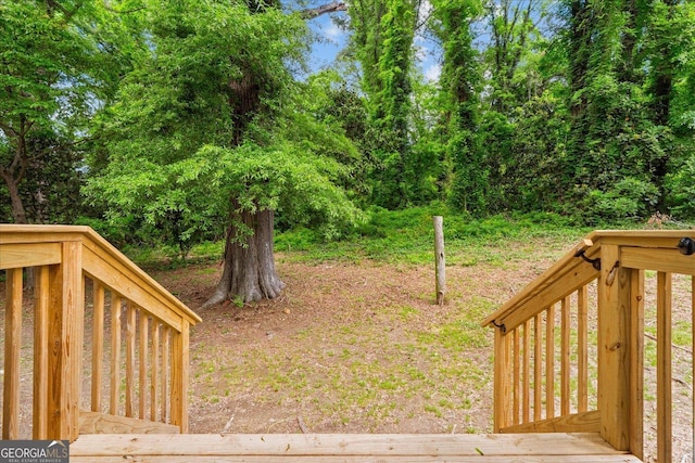 view of yard