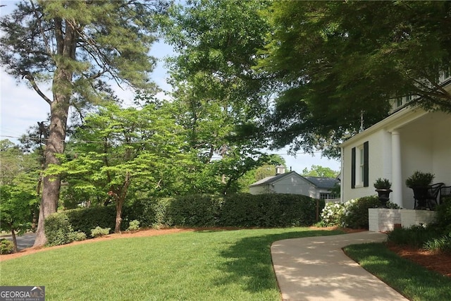 view of grassy yard