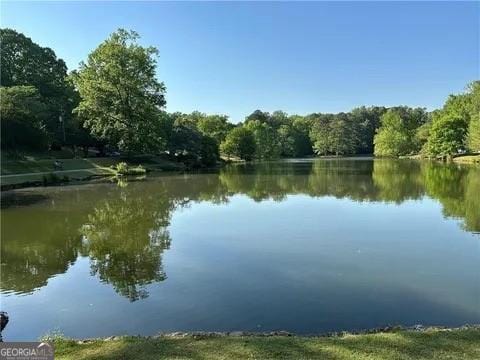 water view with a forest