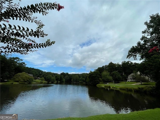 26 Kensington Rd, Avondale Estates, GA 30002 - water view featuring a forest