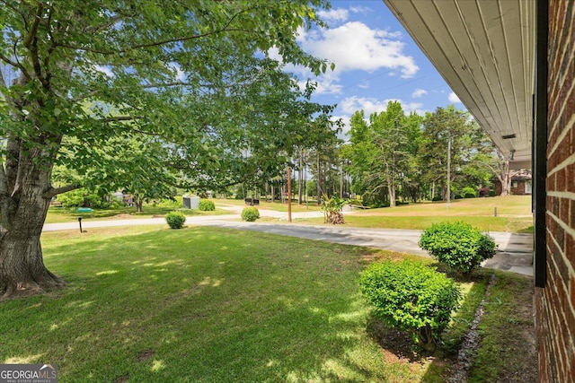 829 Berkshire Dr, Washington, GA 30673 - view of yard