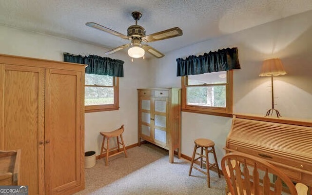 bedroom featuring light colored carpet, multiple windows, a textured ceiling, and baseboards