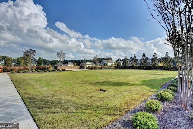 919 Olmsted Ln, Johns Creek, GA 30097 - view of yard