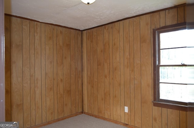 unfurnished room featuring wooden walls and carpet floors