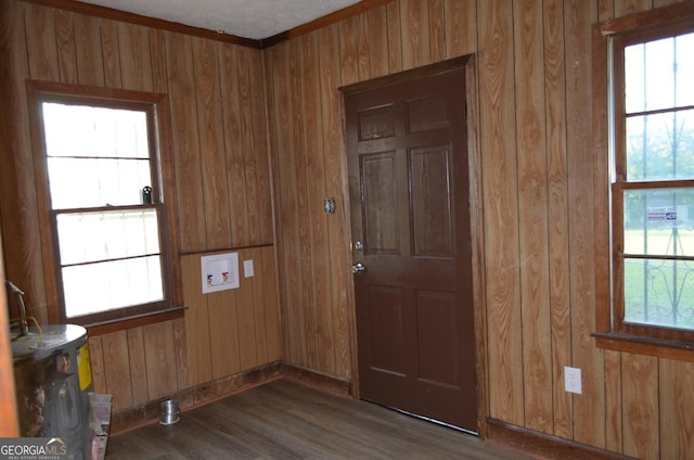 entrance foyer featuring wood walls and a healthy amount of sunlight