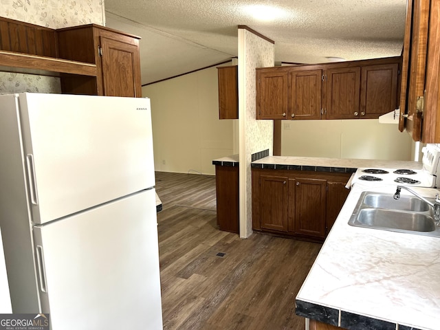 104 Scattered Pines Rd, Hortense, GA 31543 - kitchen with white appliances, vaulted ceiling, dark wood-style flooring, a sink, and under cabinet range hood