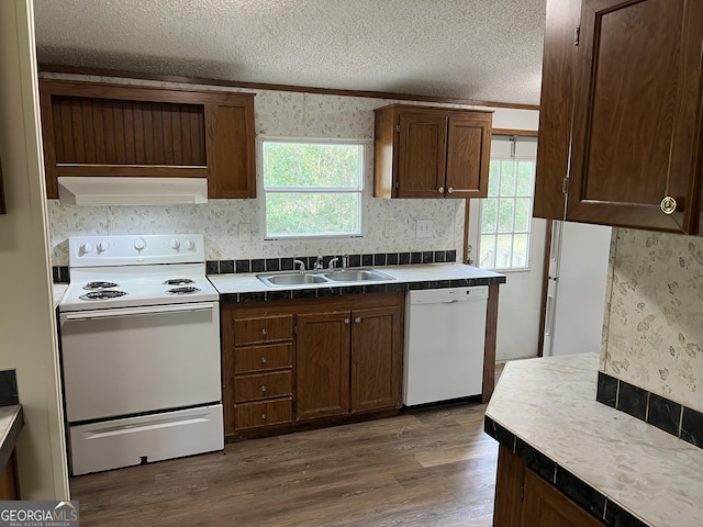 104 Scattered Pines Rd, Hortense, GA 31543 - kitchen with white appliances, custom range hood, a sink, a textured ceiling, and dark wood-type flooring