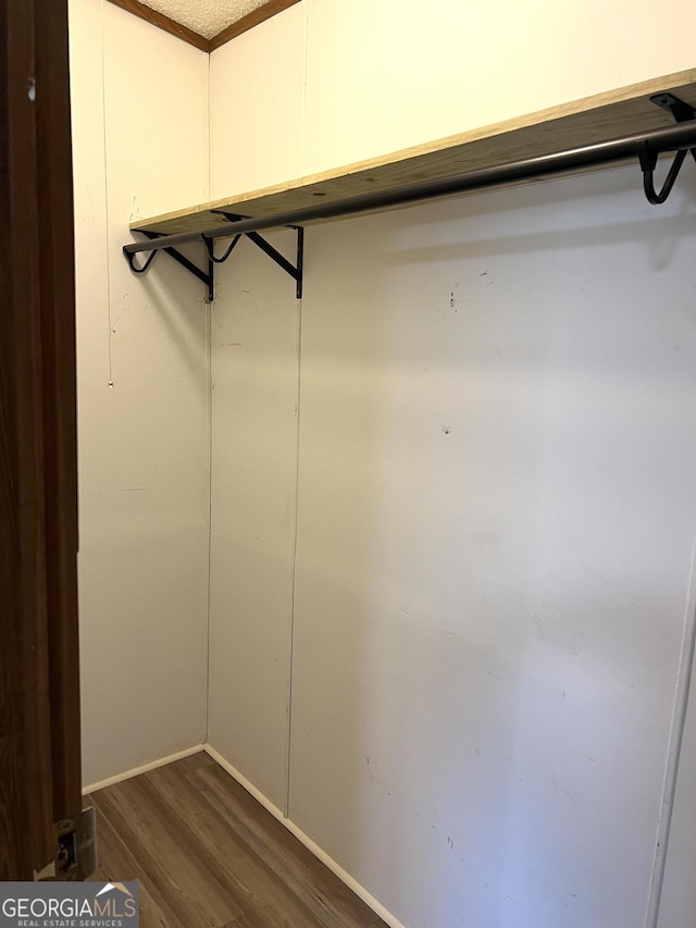 104 Scattered Pines Rd, Hortense, GA 31543 - spacious closet with dark wood-style flooring