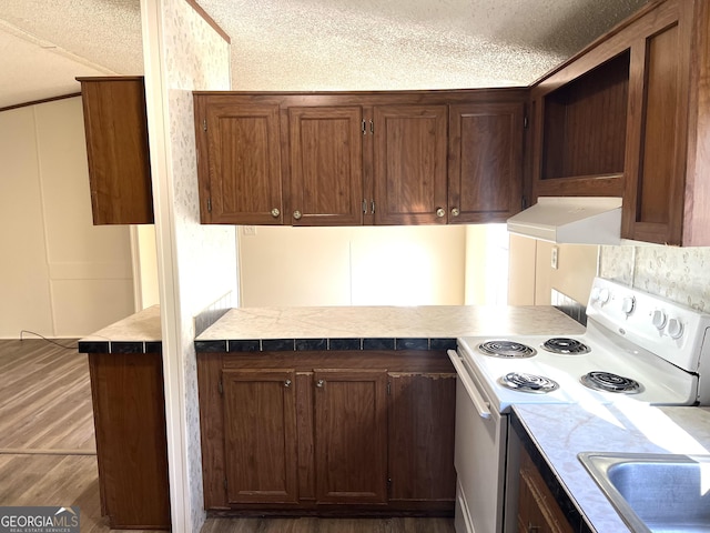 104 Scattered Pines Rd, Hortense, GA 31543 - kitchen with electric range, ventilation hood, wood finished floors, a sink, and a textured ceiling