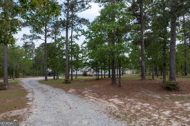 view of road with gravel driveway