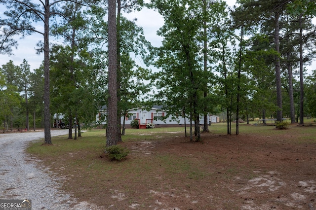 view of yard with gravel driveway