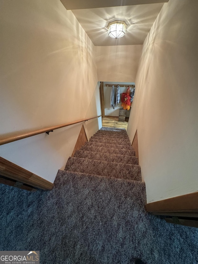 staircase with carpet flooring