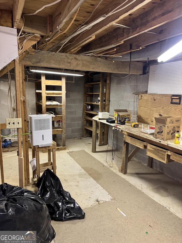 unfinished basement with a workshop area