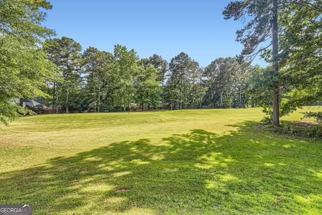 595 Mcgarity Dr, Mcdonough, GA 30252 - view of yard