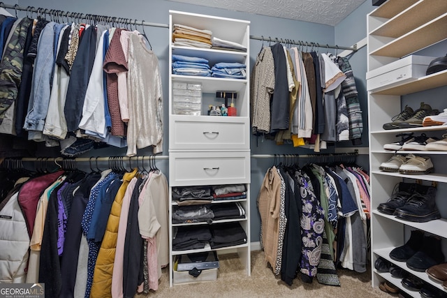 173 Kingswood Dr, Ellenwood, GA 30294 - spacious closet featuring carpet flooring