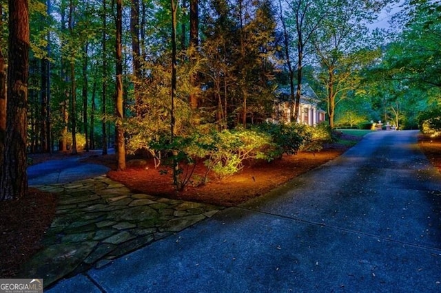 4500 Candacraig, Alpharetta, GA 30022 - exterior space featuring a wooded view