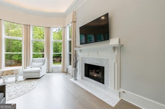4500 Candacraig, Alpharetta, GA 30022 - living area featuring ornamental molding, a high end fireplace, and wood finished floors