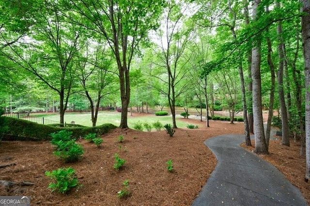 4500 Candacraig, Alpharetta, GA 30022 - view of home's community featuring fence