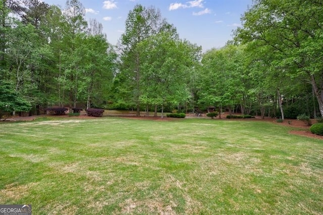 4500 Candacraig, Alpharetta, GA 30022 - view of yard