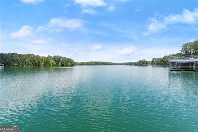 4290 Bobbins Way, Cumming, GA 30041 - water view