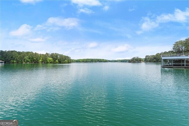 4290 Bobbins Way, Cumming, GA 30041 - water view featuring a boat dock