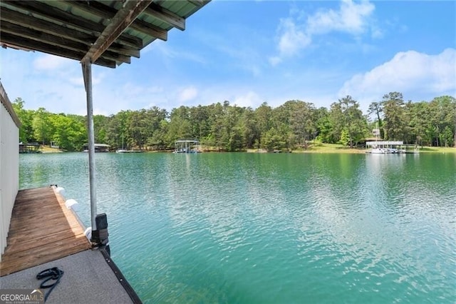 4290 Bobbins Way, Cumming, GA 30041 - dock with a water view