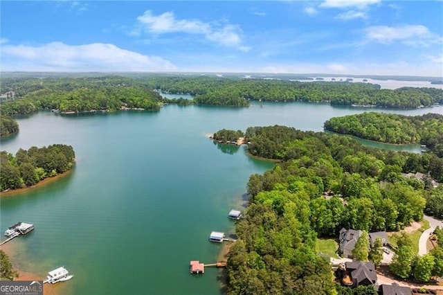 4290 Bobbins Way, Cumming, GA 30041 - bird's eye view of a heavily wooded area and a large body of water