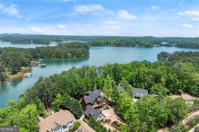 4290 Bobbins Way, Cumming, GA 30041 - bird's eye view of a nearby body of water and a heavily wooded area