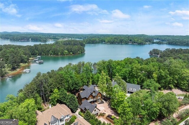 4290 Bobbins Way, Cumming, GA 30041 - bird's eye view of a nearby body of water and a forest