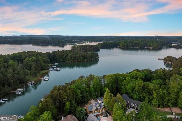 4290 Bobbins Way, Cumming, GA 30041 - aerial view of property and surrounding area featuring a large body of water