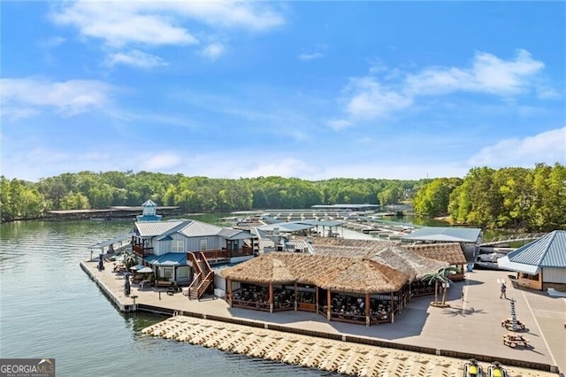 4290 Bobbins Way, Cumming, GA 30041 - dock area featuring a water view and a view of trees