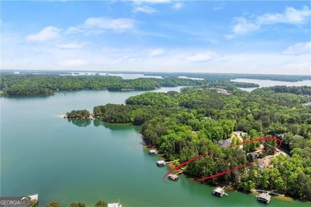 4290 Bobbins Way, Cumming, GA 30041 - aerial view of a forest and a large body of water