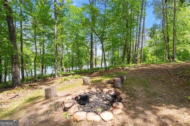 4290 Bobbins Way, Cumming, GA 30041 - view of undeveloped land