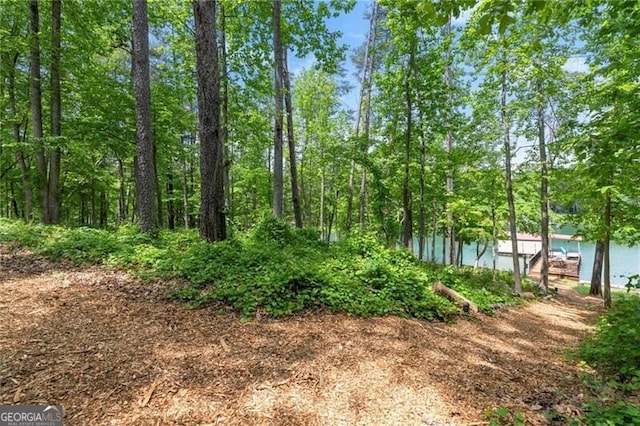 4290 Bobbins Way, Cumming, GA 30041 - view of undeveloped land
