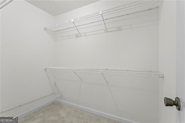 view of walk in closet