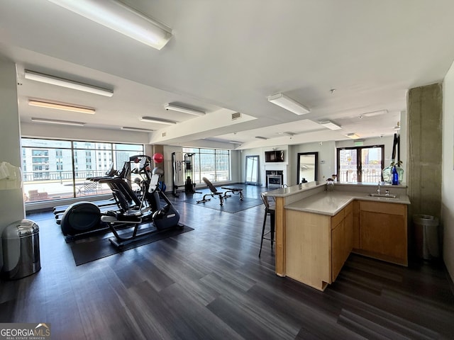 exercise room featuring a sink and dark wood-style flooring