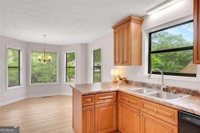 kitchen featuring a sink, a textured ceiling, a wealth of natural light, and dishwasher