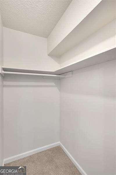 spacious closet with carpet