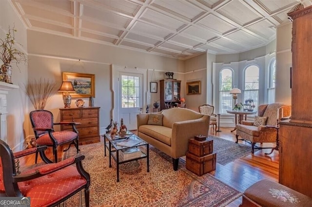 living room featuring wood finished floors and a fireplace