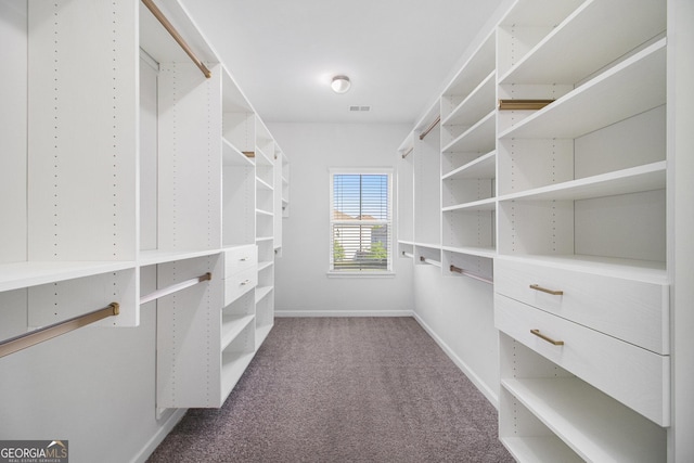 2113 Dodson Woods Dr, Fairburn, GA 30213 - spacious closet featuring visible vents and carpet floors