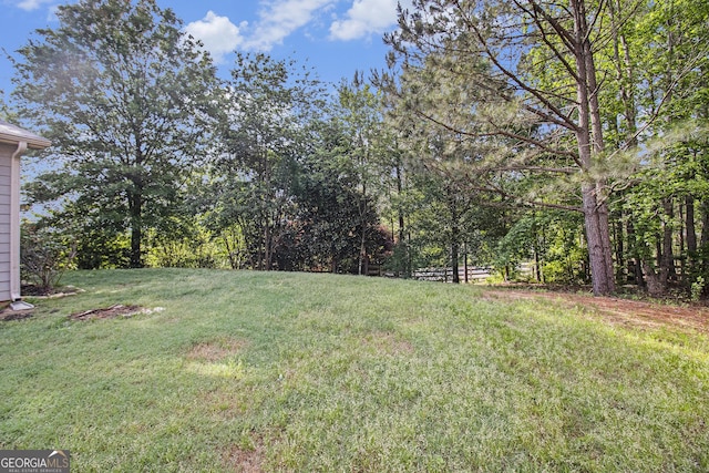 2113 Dodson Woods Dr, Fairburn, GA 30213 - view of yard