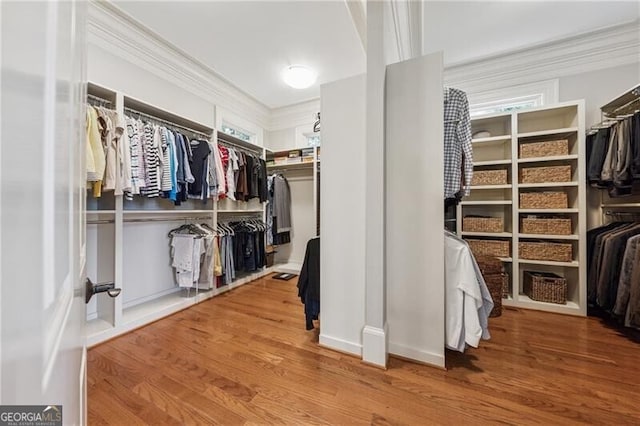spacious closet with wood finished floors
