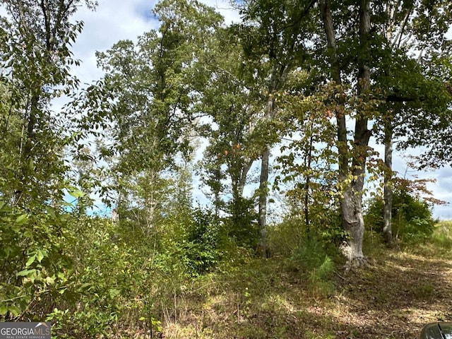1849 Prior Station Rd Unit 76Acres, Cedartown, GA 30125