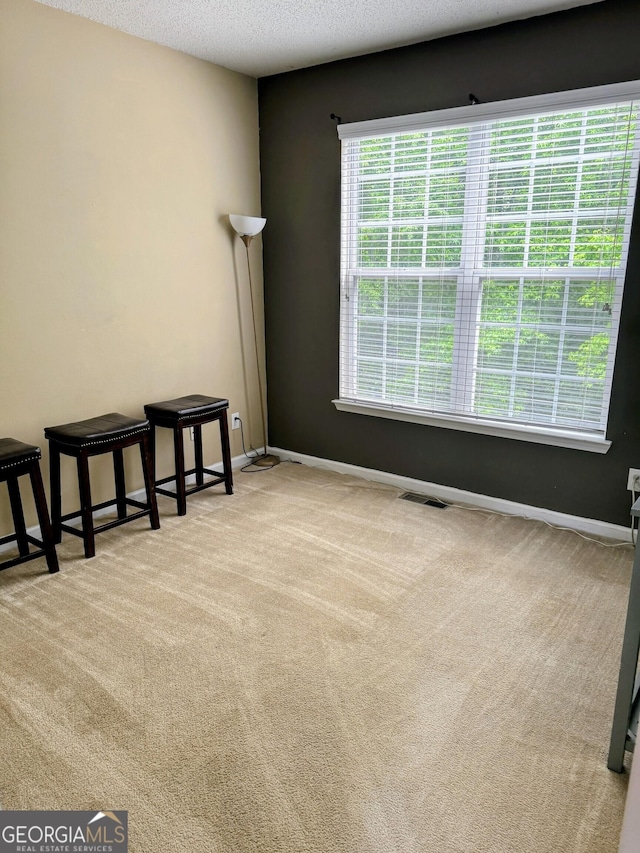 7491 Hilltop Way, Atlanta, GA 30349 - spare room featuring carpet and a textured ceiling