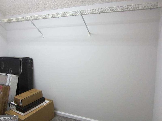 spacious closet with carpet flooring