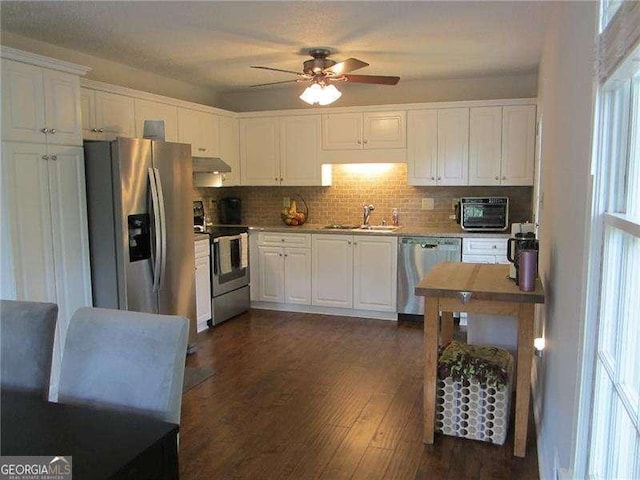kitchen featuring white cabinets, stainless steel appliances, ceiling fan, and a sink