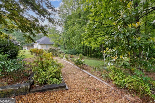 view of yard featuring a vegetable garden
