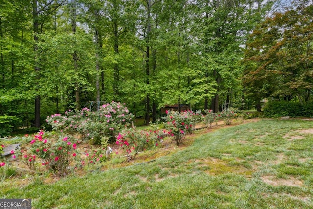 view of yard featuring a forest view