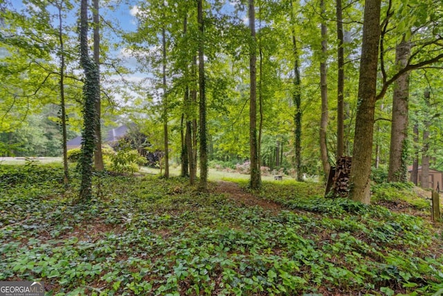 view of local wilderness