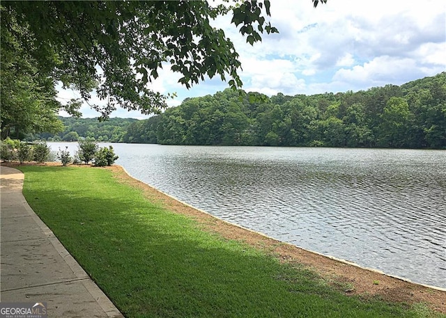 water view with a heavily wooded area